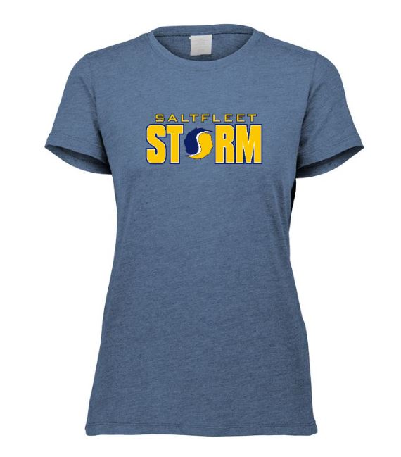 saltfleet Premium Fitted (Lady) T Shirt