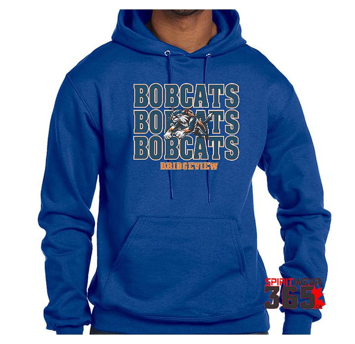 Bridgeview  Adult Champion Hoodie