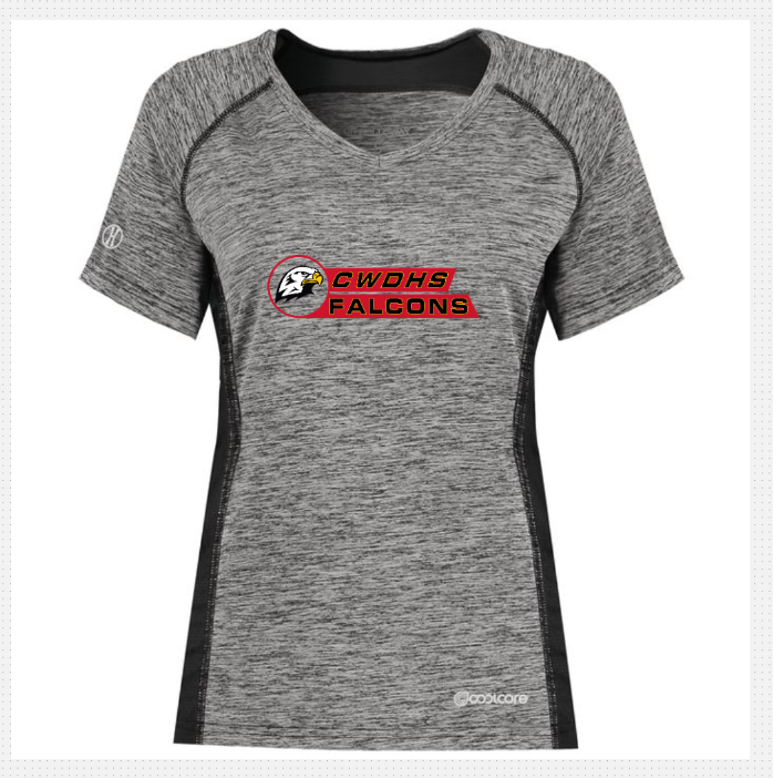 CWDHS Fitted Performance