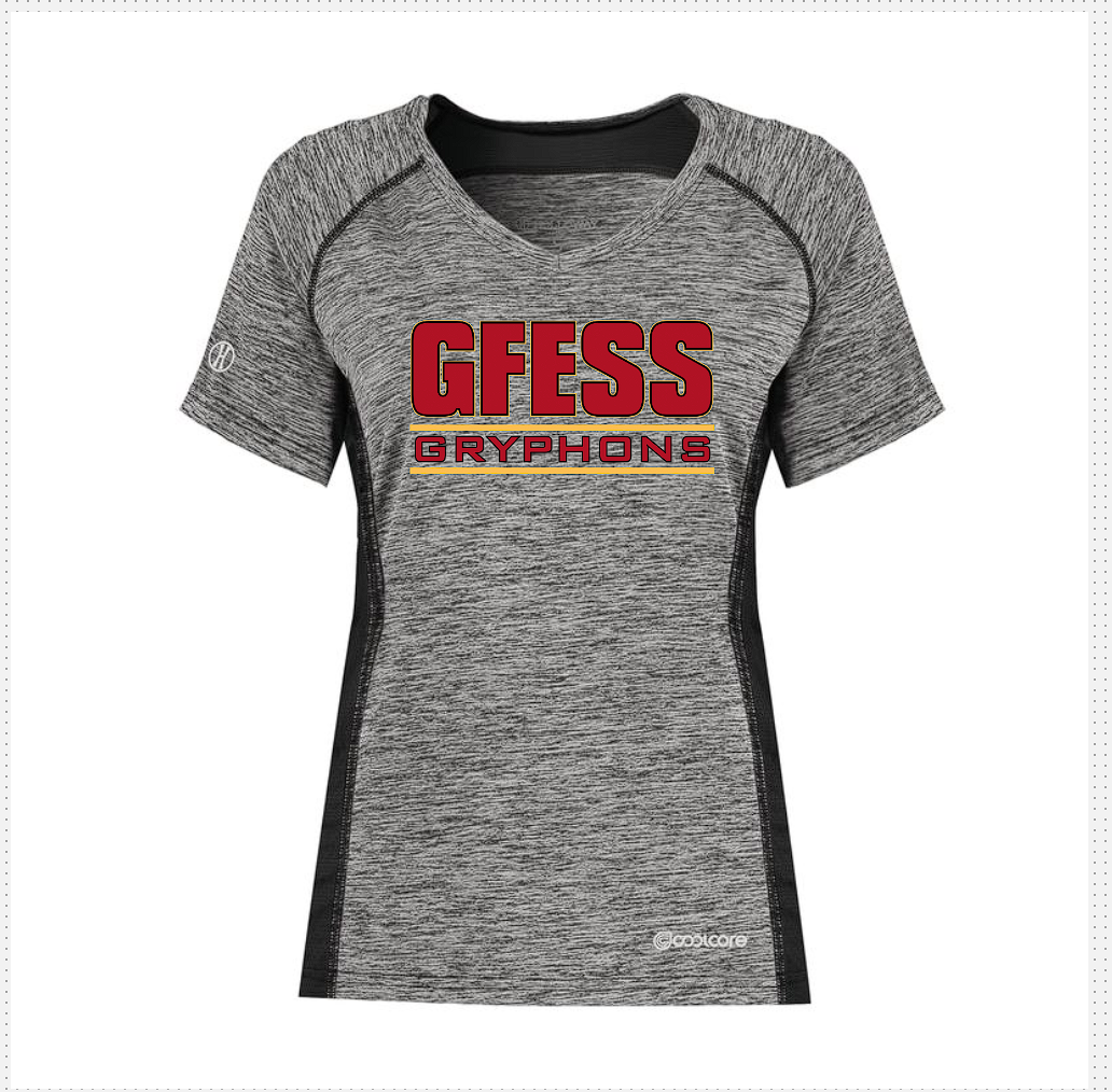 GFESS Fitted Performance