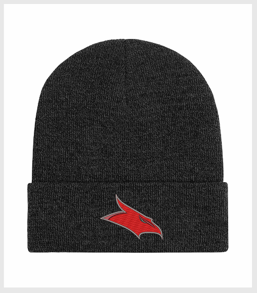 GFESS Lined Beanie