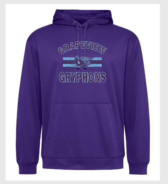 Grapeview Youth Solid Performance Hoody